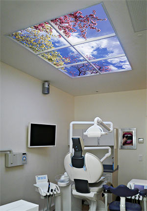 Michel Abbou DDS