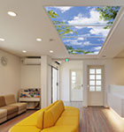 Riona Kurahashi Dental Clinic