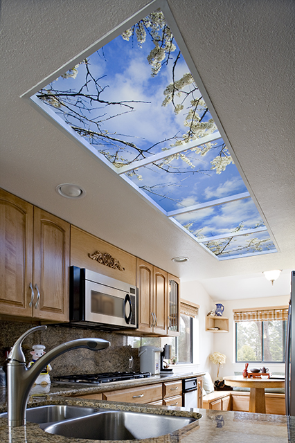 Grant Kitchen