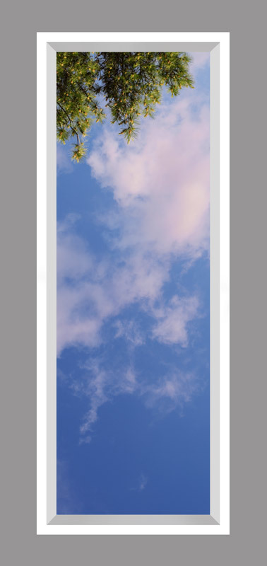 Click to go back.