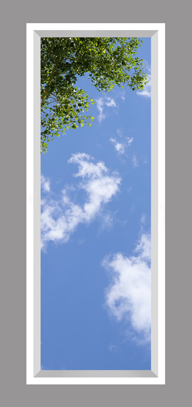 Click to go back.