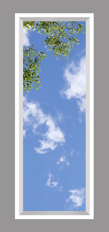 Click to go back.