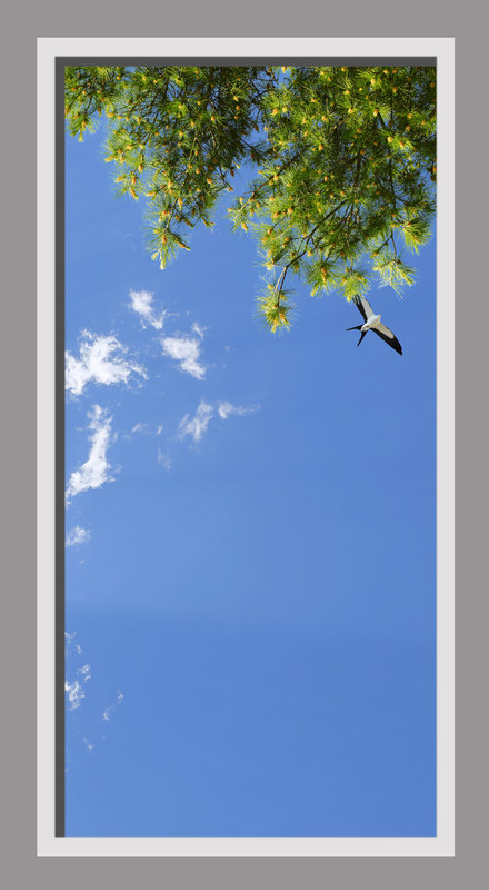 Click to go back.