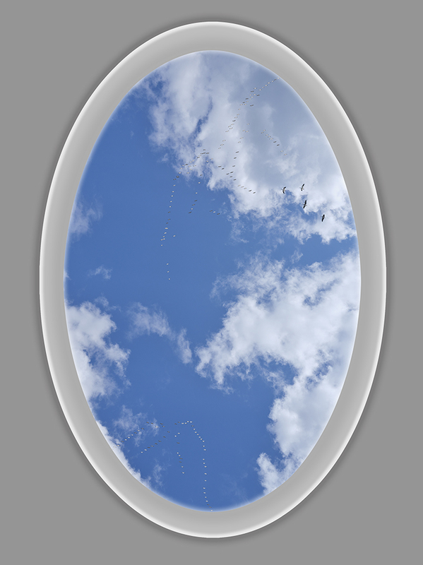 Click to go back.