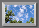 Photo Mural 3bf_40x28cr