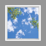 Ceiling Mural 6ad_4x4md_r44