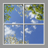 Ceiling Design 6am01_4x4md