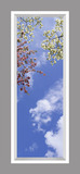 Ceiling Mural 6am_2x6_r26_md01