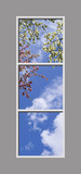 Ceiling Design 6am_2x6md08