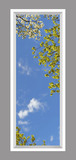 Ceiling Mural 6am_2x6md_r26