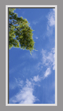 Ceiling Mural 6bi_2x4md