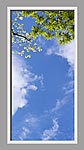 Ceiling Mural 6bo_2x4md_24vr01