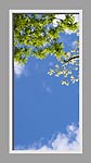Ceiling Mural 6br_2x4md