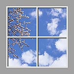 Ceiling Mural 6br_4x4md01