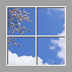 Ceiling Mural 6bu_4x4md02