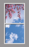 Ceiling Mural 6bvS_2x4cr