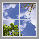 Ceiling Mural 6bv_4x4cr