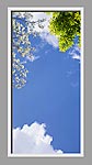 Ceiling Mural 6bx_2x4md