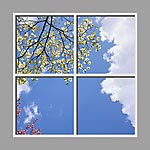 Ceiling Mural 6bx_4x4md01