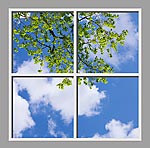 Ceiling Mural 6by_4x4md
