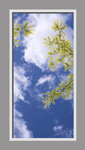 Ceiling Design 6cd_24mdvr