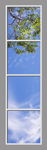 Ceiling Mural 6cl_2x8md_01