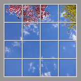 Ceiling Mural 6cv_8x8md