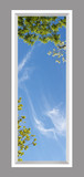 Ceiling Mural 6dw_2x6md01_r26