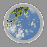 Ceiling Design 6dw_AP44