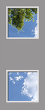 Ceiling Design 6ej_24mdvr_2-22