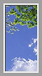 Ceiling Design 6ej_2x4md