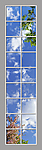 Ceiling Mural 6eo_4x18md03