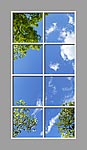 Ceiling Mural 6eq_4x8md