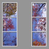 Ceiling Mural 6fe_2-2x6cr