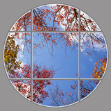 Ceiling Design 6fe_INF6