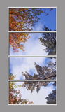 Ceiling Design 6fj_4x8md24hr
