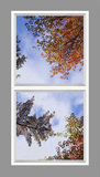 Ceiling Design 6fj_4x8md_r44
