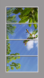 Ceiling Design 6ip_4x8mda_24hr