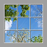 Ceiling Design 6jo_6x6md