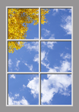 Ceiling Design 6ps_4x6md