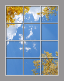 Ceiling Mural 6ps_6x8md