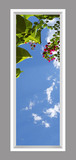 Ceiling Mural 6qlF_2x6md_r26