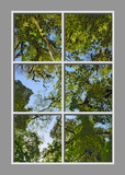 Ceiling Design 6rv_4x6cr