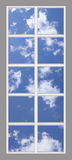 Ceiling Mural 6trS_8x20_r44