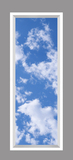 Ceiling Mural 6tus_2x6_r26_C