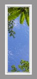 Ceiling Design 6vf_2x6md01_r26
