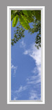 Ceiling Design 6vf_2x6md_r26