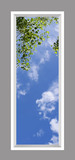 Ceiling Design 6wc_2x6md02_r26