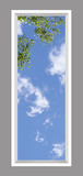 Ceiling Mural 6wd_2x6md_r26