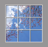 Ceiling Design 8az_6x6md